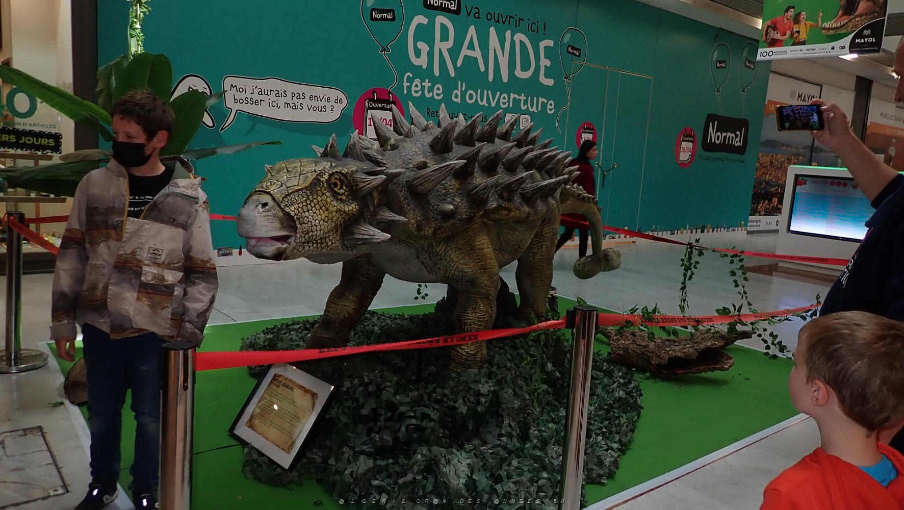 99 toulon carrefour Mayol  (3).JPG